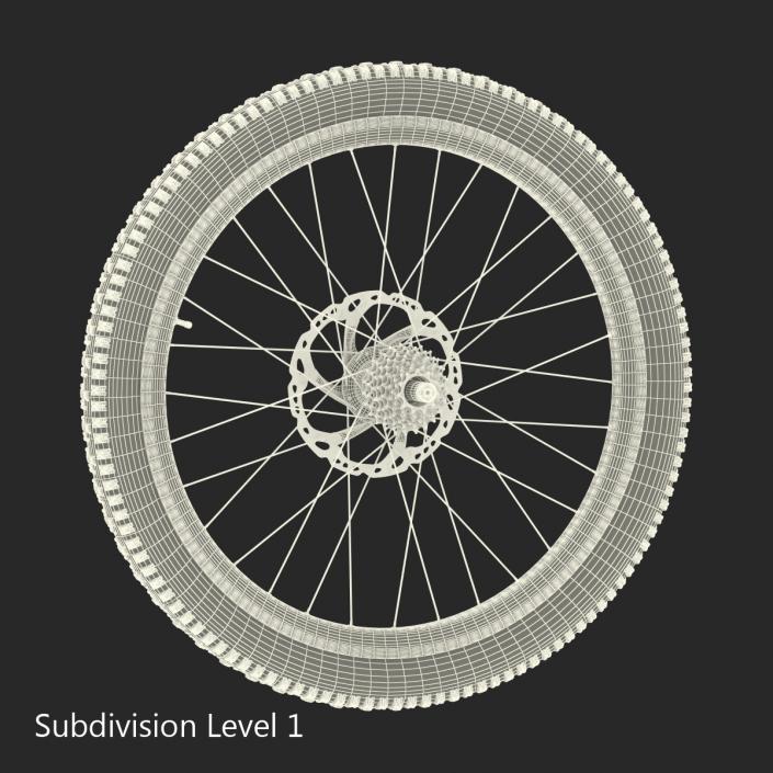 3D Bicycle Back Wheel model