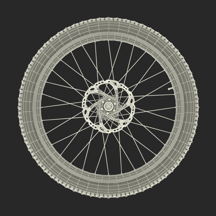 3D Bicycle Back Wheel model