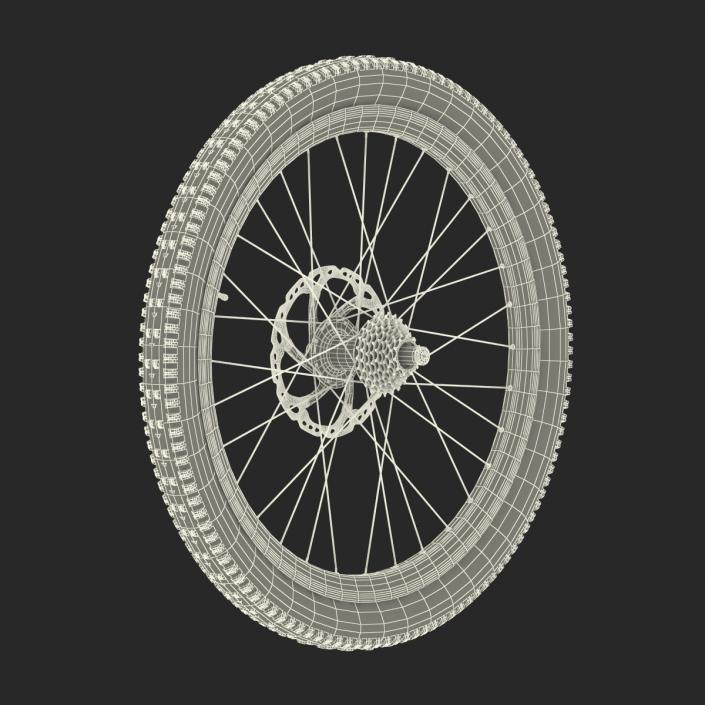 3D Bicycle Back Wheel model