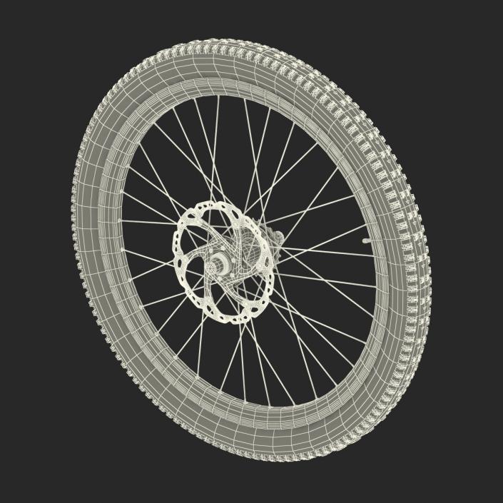 3D Bicycle Back Wheel model