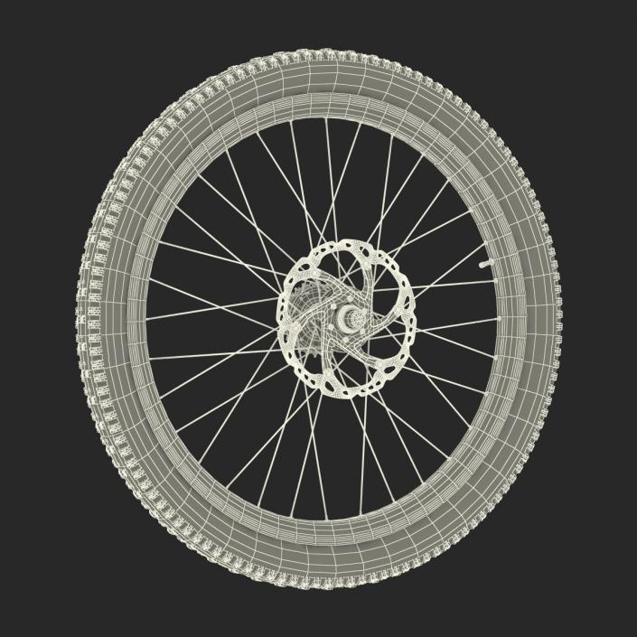 3D Bicycle Back Wheel model