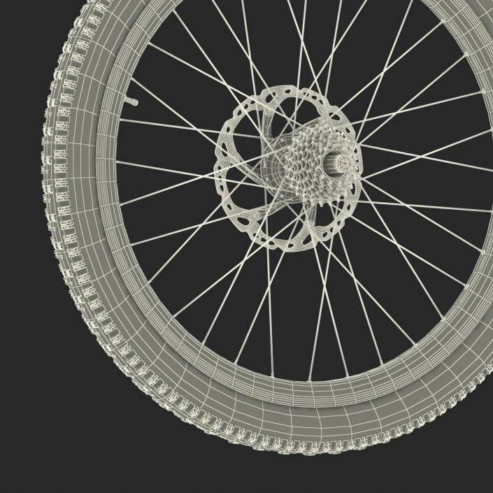 3D Bicycle Back Wheel model