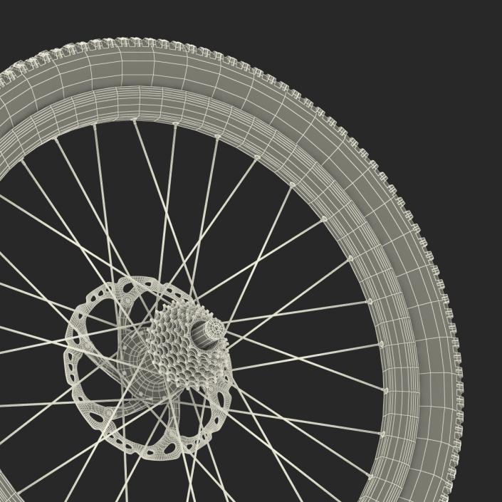 3D Bicycle Back Wheel model