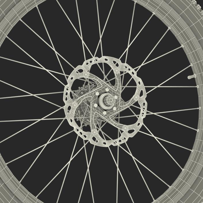 3D Bicycle Back Wheel model