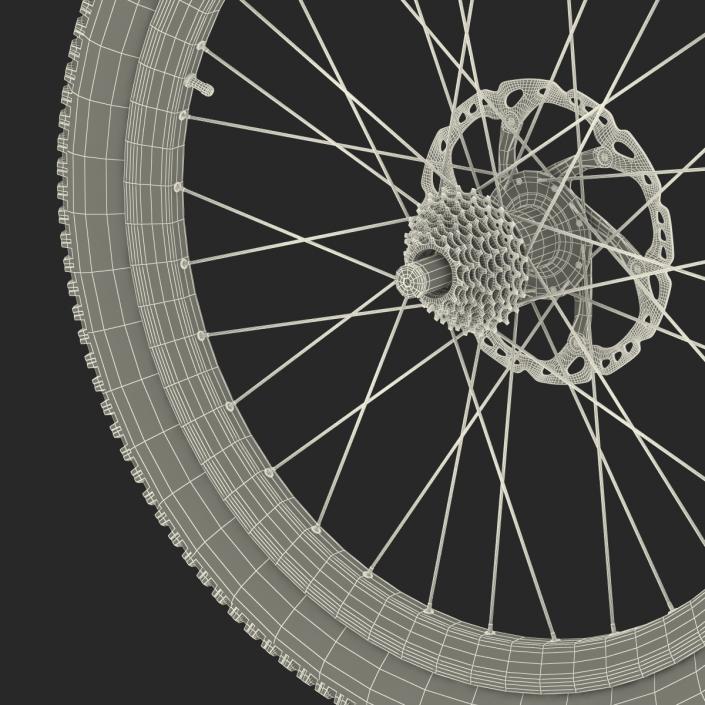 3D Bicycle Back Wheel model