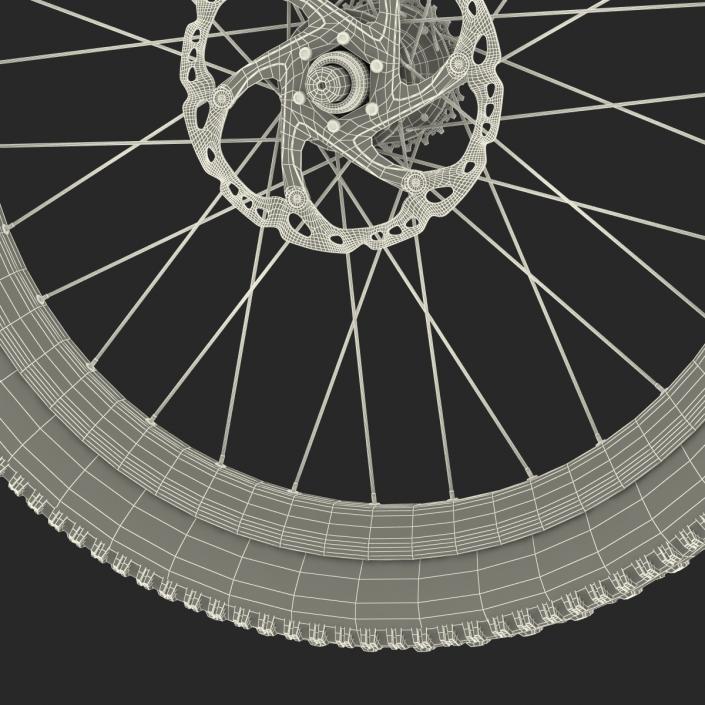 3D Bicycle Back Wheel model