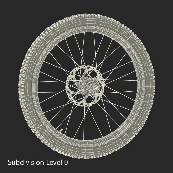 Bicycle Front Wheel 3D model