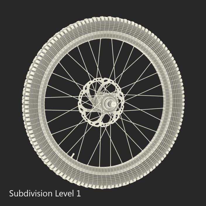 Bicycle Front Wheel 3D model