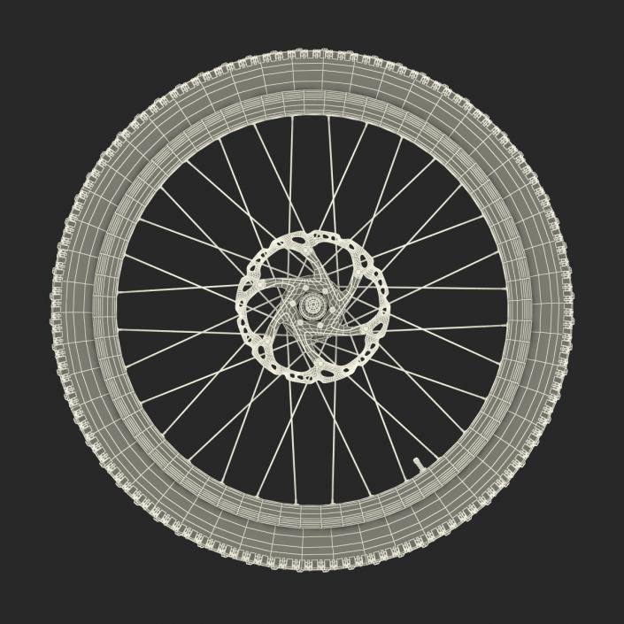 Bicycle Front Wheel 3D model