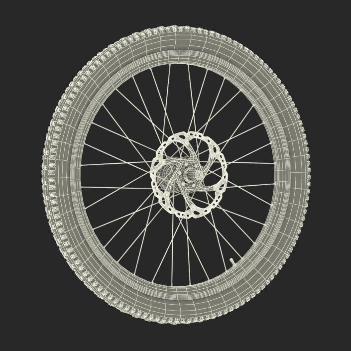 Bicycle Front Wheel 3D model