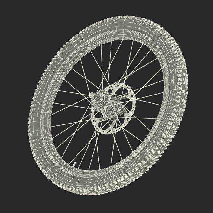 Bicycle Front Wheel 3D model