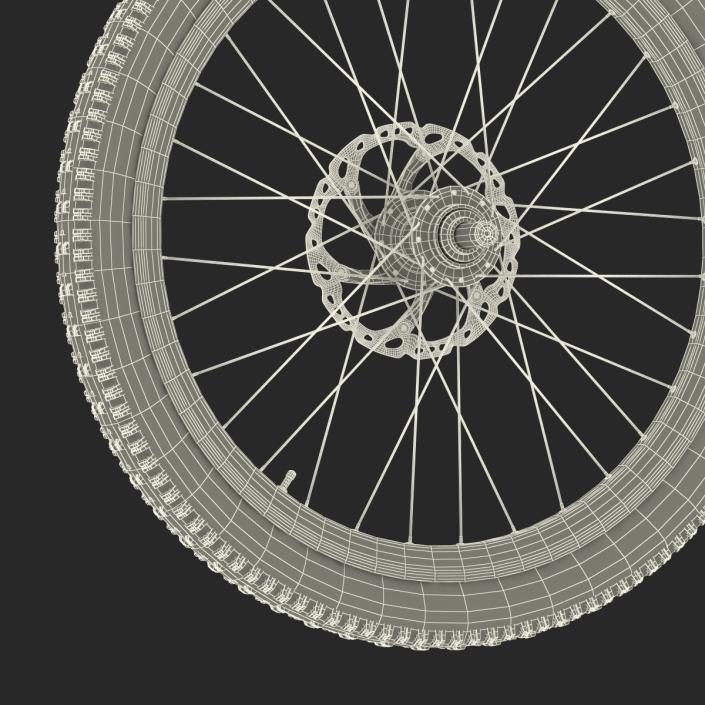 Bicycle Front Wheel 3D model