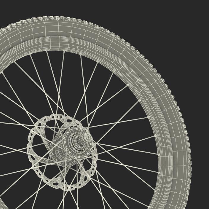 Bicycle Front Wheel 3D model