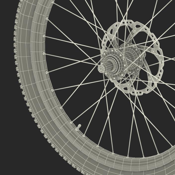 Bicycle Front Wheel 3D model