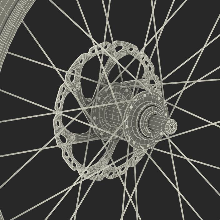 Bicycle Front Wheel 3D model