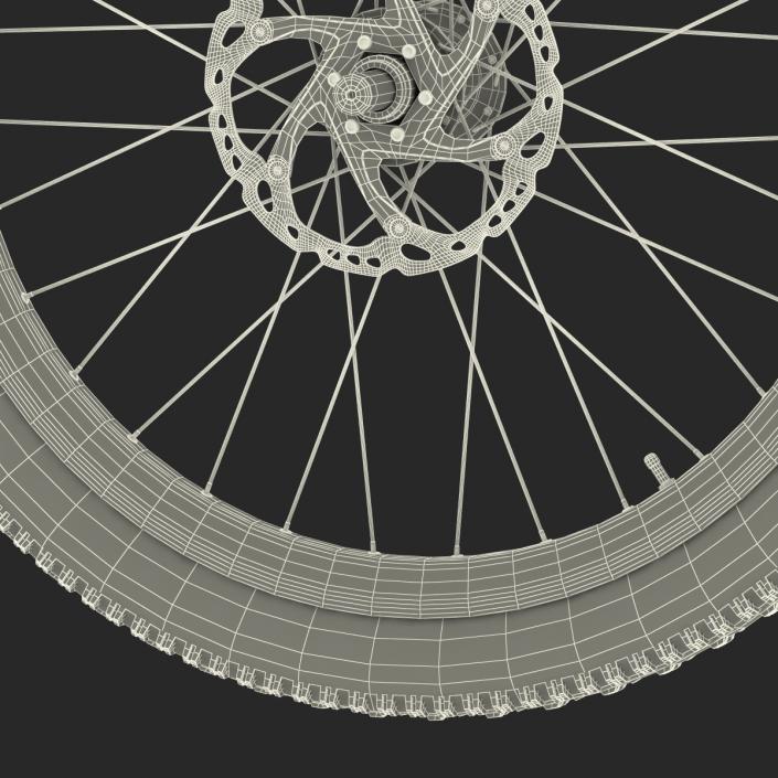 Bicycle Front Wheel 3D model