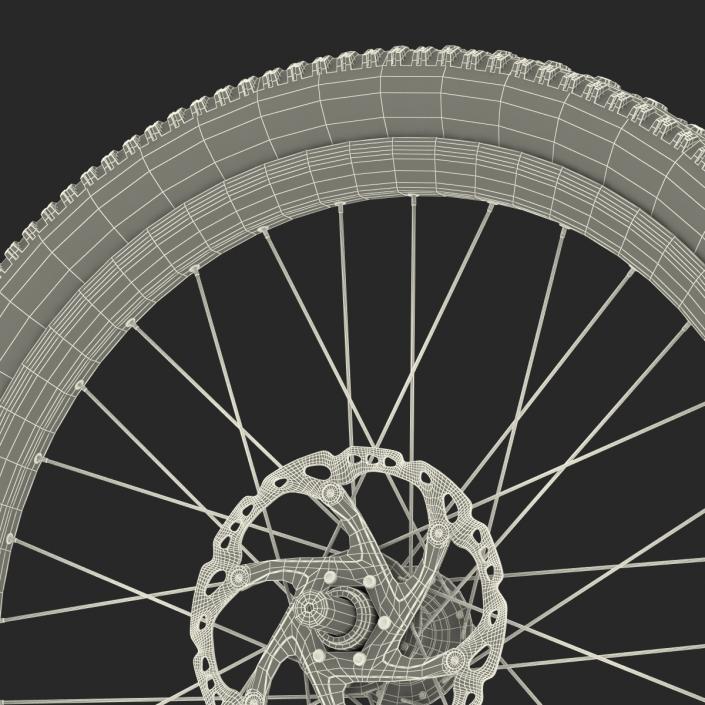 Bicycle Front Wheel 3D model