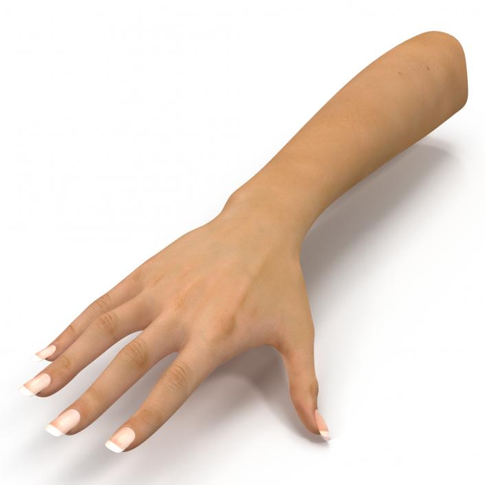 3D Female Hand