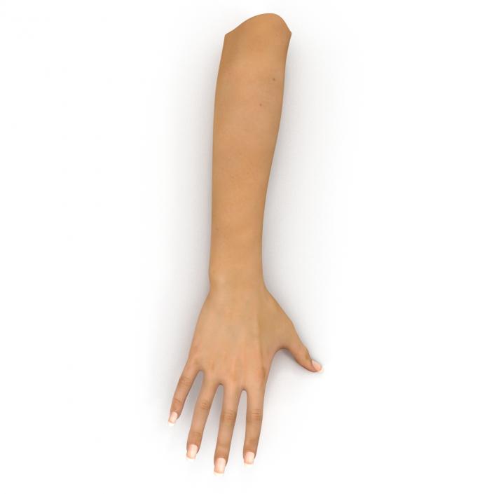 3D Female Hand