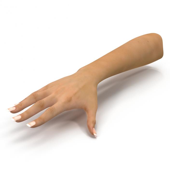 3D Female Hand