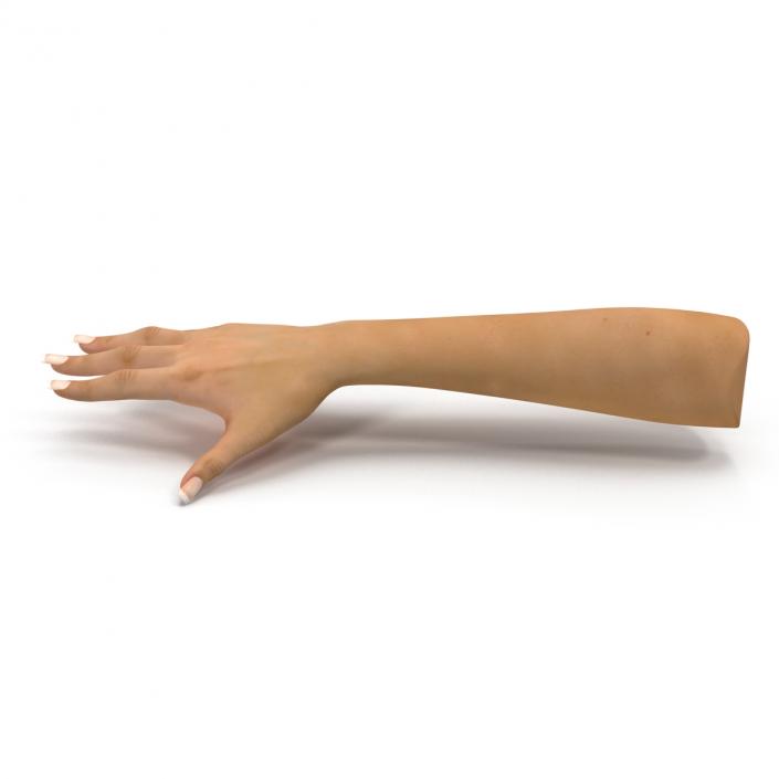 3D Female Hand