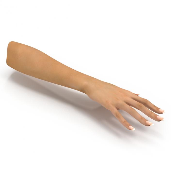 3D Female Hand