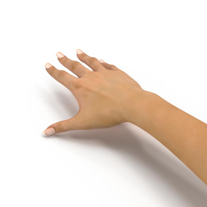 3D Female Hand