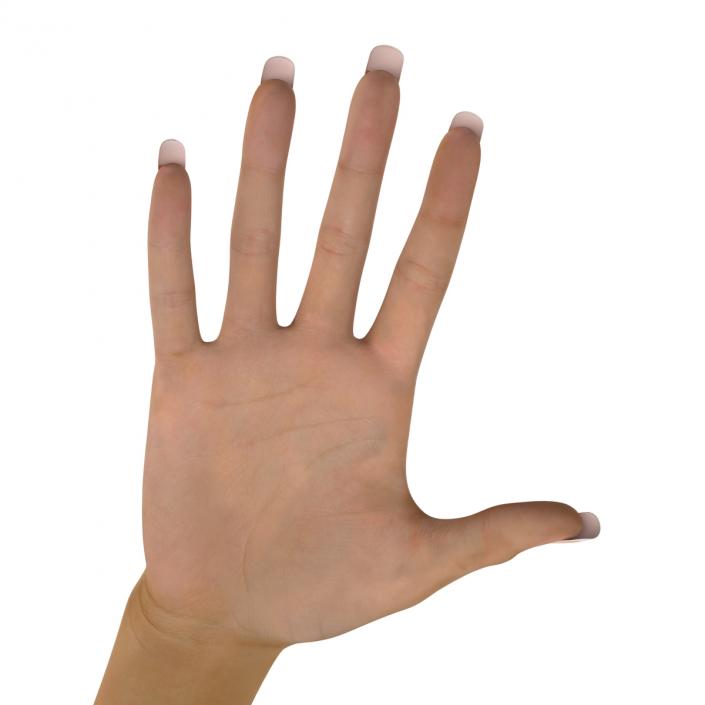 3D Female Hand