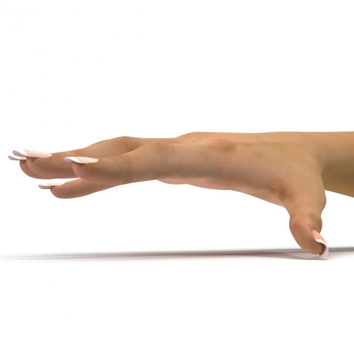 3D Female Hand