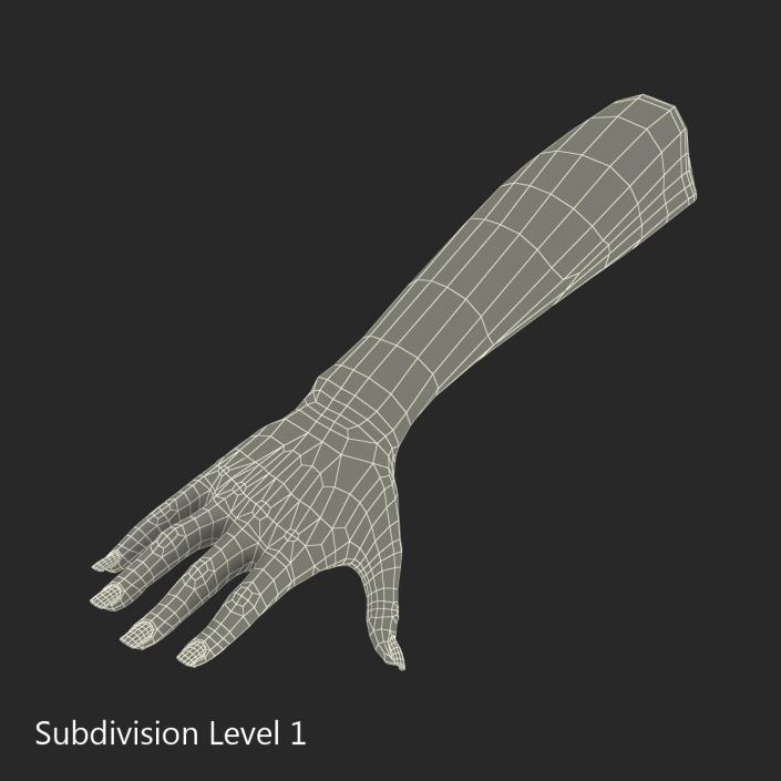 3D Female Hand