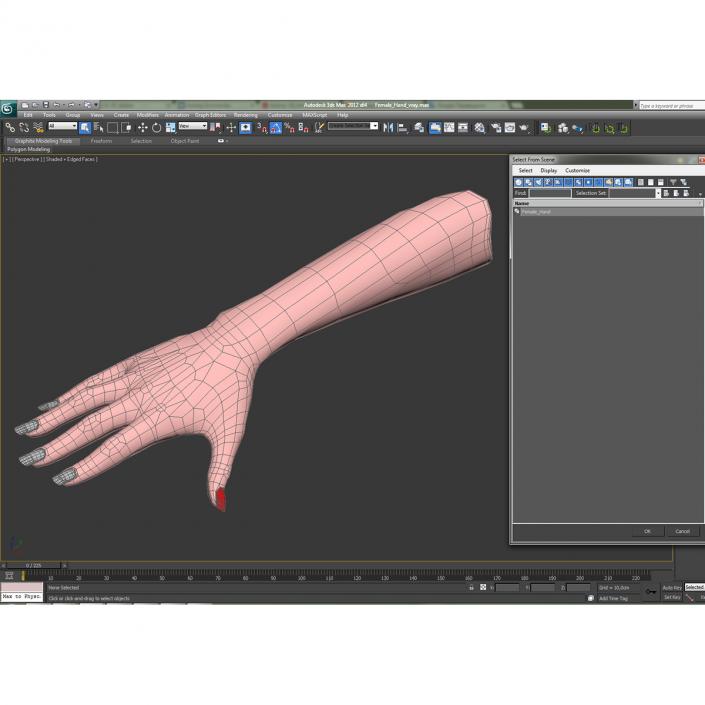 3D Female Hand