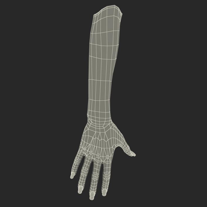 3D Female Hand