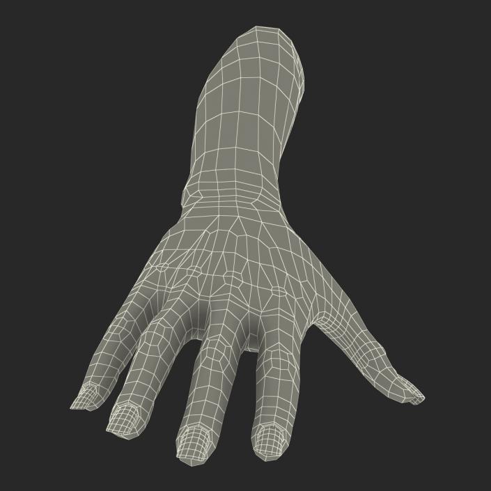 3D Female Hand