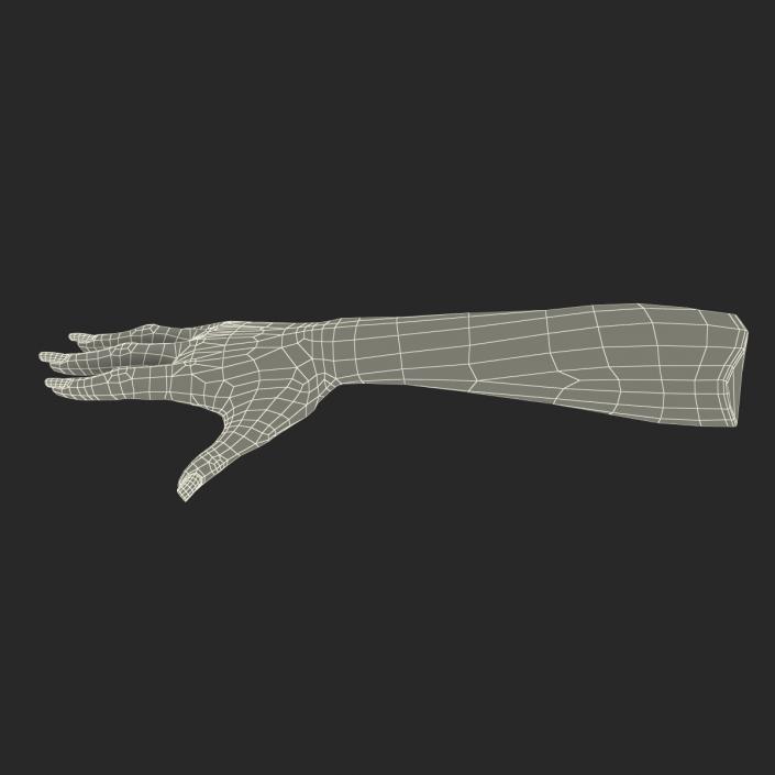 3D Female Hand