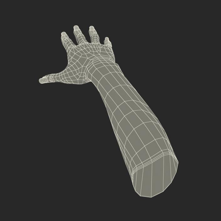 3D Female Hand