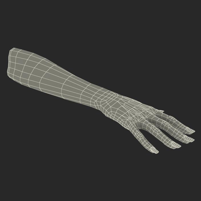 3D Female Hand