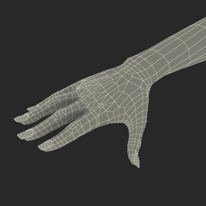 3D Female Hand