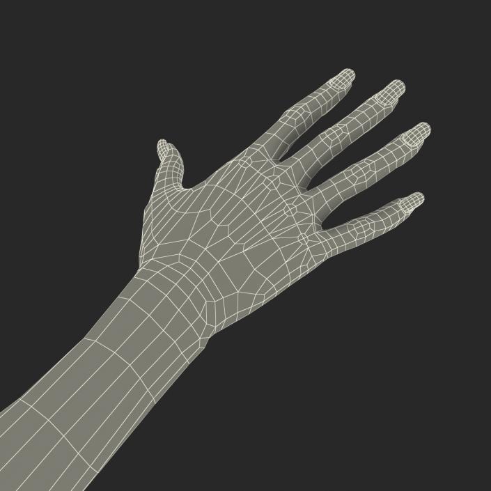 3D Female Hand