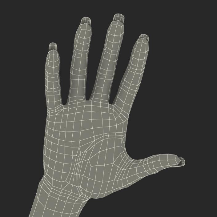 3D Female Hand