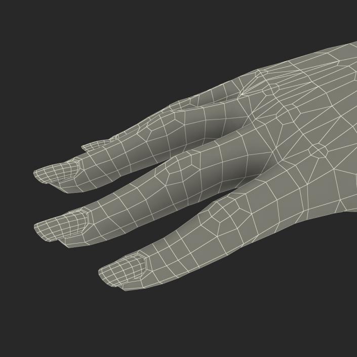 3D Female Hand