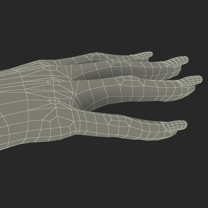 3D Female Hand