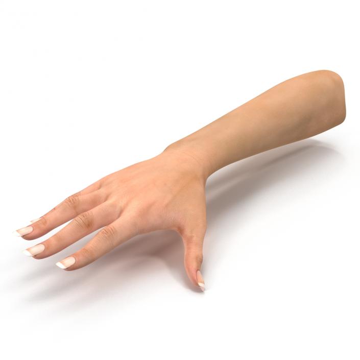 3D Female Hand 2 model