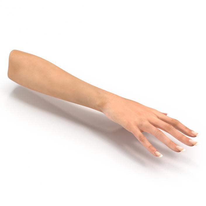 3D Female Hand 2 model