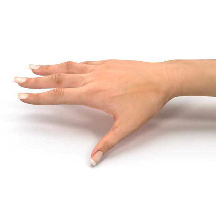 3D Female Hand 2 model