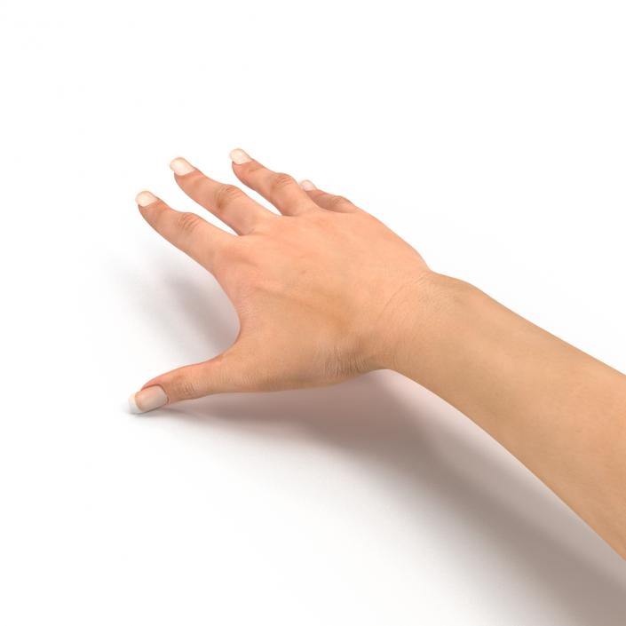 3D Female Hand 2 model