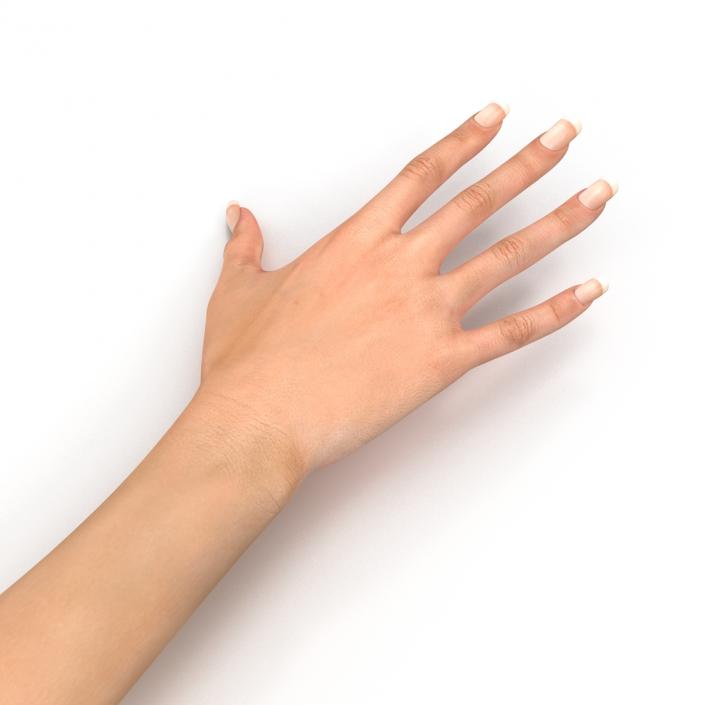 3D Female Hand 2 model