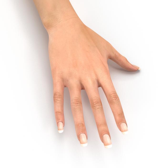 3D Female Hand 2 model