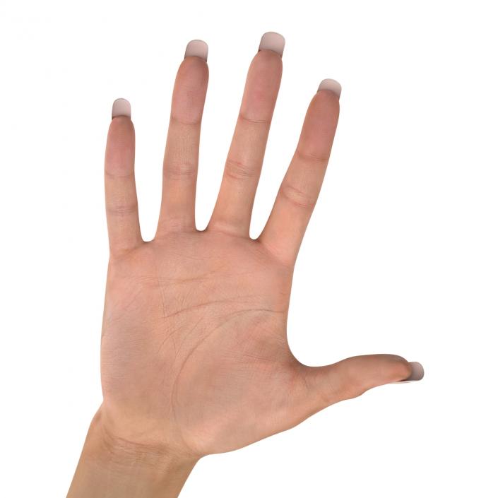 3D Female Hand 2 model