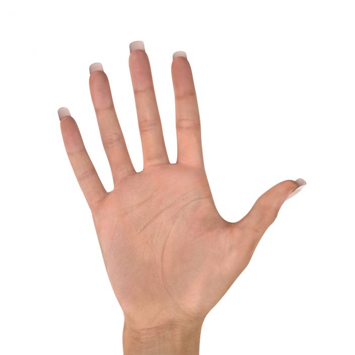 3D Female Hand 2 model