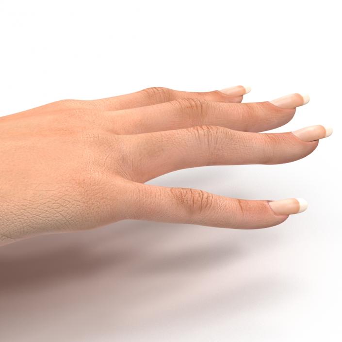 3D Female Hand 2 model